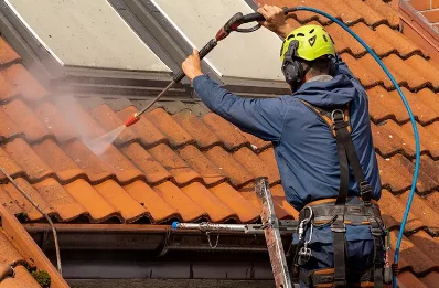 Démoussage et hydrofuge de toiture à Cour-Marigny